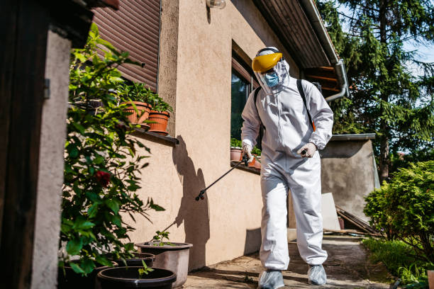 Best Mosquito Control Services  in Harbor Hills, OH