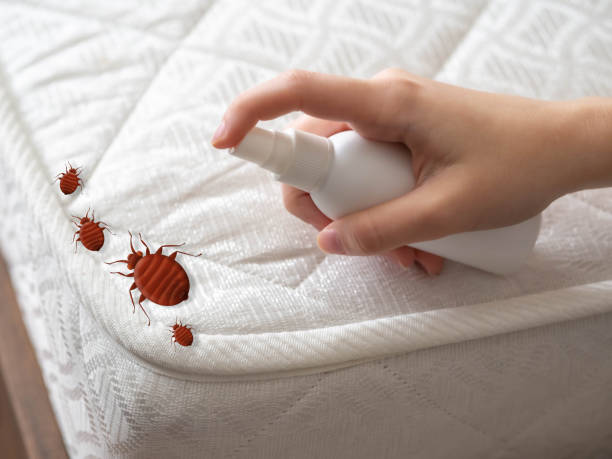 Trusted Harbor Hills, OH Pest Control Experts