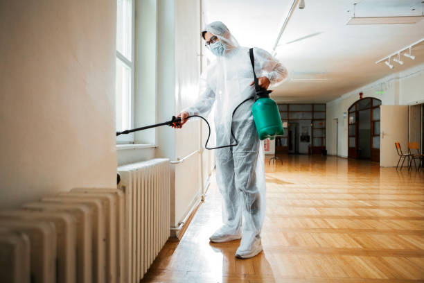 Trusted Harbor Hills, OH Pest Control Experts