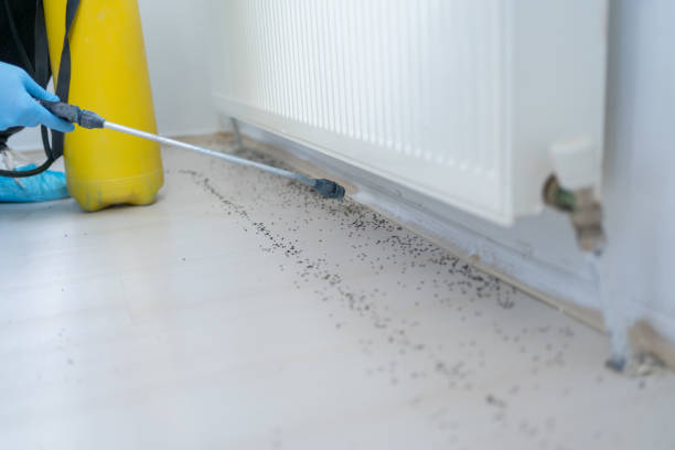 Best Affordable Pest Control Services  in Harbor Hills, OH