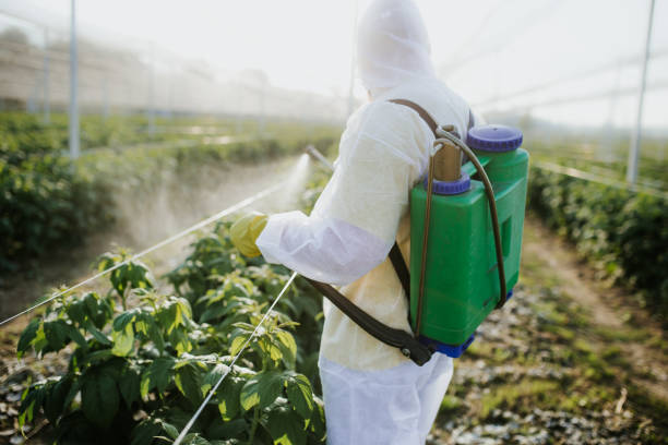 Pest Control for Restaurants in Harbor Hills, OH